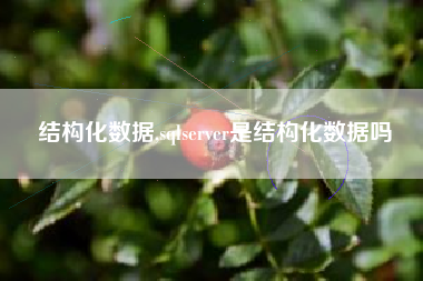 结构化数据,sqlserver是结构化数据吗