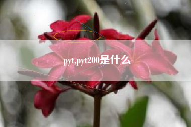pyt,pyt200是什么