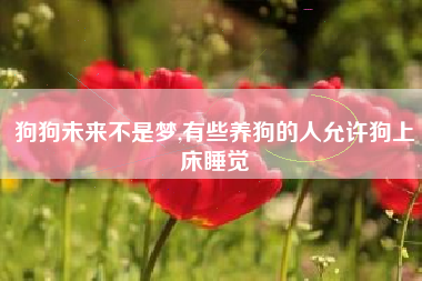 狗狗未来不是梦,有些养狗的人允许狗上床睡觉