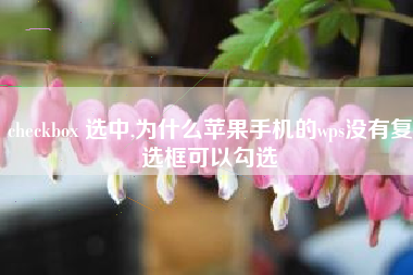 checkbox 选中,为什么苹果手机的wps没有复选框可以勾选