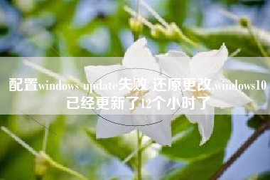 配置windows update失败 还原更改,windows10已经更新了12个小时了
