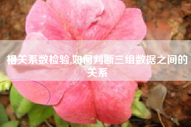相关系数检验,如何判断三组数据之间的关系