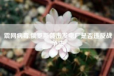 震网病毒,俄罗斯袭击发电厂是否违反战争法