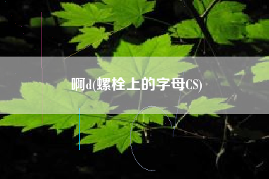 啊d(螺栓上的字母CS)