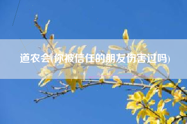 道农会(你被信任的朋友伤害过吗)