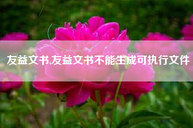 友益文书,友益文书不能生成可执行文件