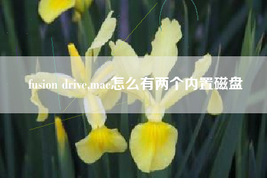 fusion drive,mac怎么有两个内置磁盘
