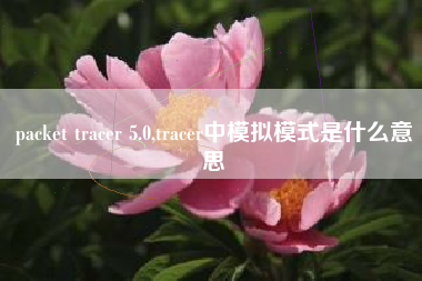 packet tracer 5.0,tracer中模拟模式是什么意思