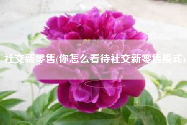 社交新零售(你怎么看待社交新零售模式)