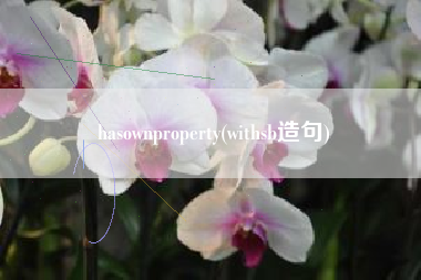 hasownproperty(withsb造句)