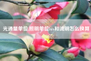光通量单位,照明单位lux和流明怎么换算