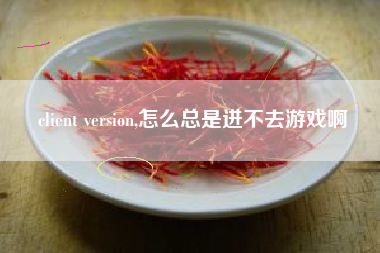 client version,怎么总是进不去游戏啊