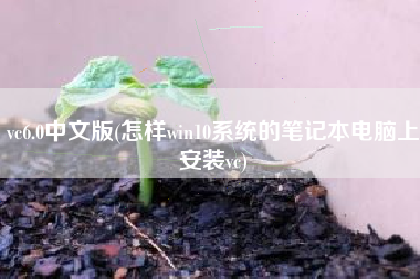vc6.0中文版(怎样win10系统的笔记本电脑上安装vc)