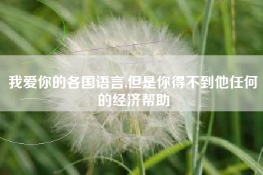 我爱你的各国语言,但是你得不到他任何的经济帮助