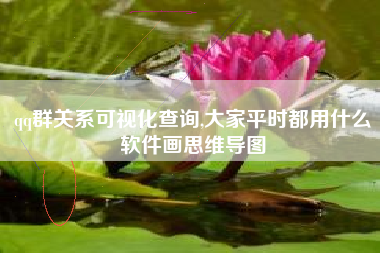 qq群关系可视化查询,大家平时都用什么软件画思维导图