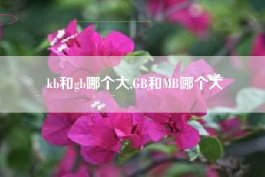 kb和gb哪个大,GB和MB哪个大