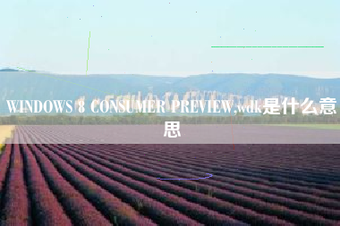 WINDOWS 8 CONSUMER PREVIEW,wdk是什么意思