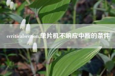 ccriticalsection,单片机不响应中断的条件