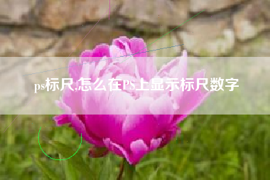 ps标尺,怎么在PS上显示标尺数字