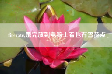 firerate,录完放到电脑上看也有雪花点