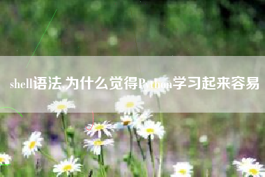 shell语法,为什么觉得Python学习起来容易