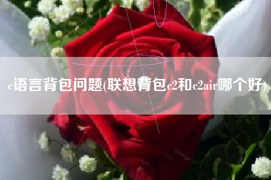 c语言背包问题(联想背包c2和c2air哪个好)