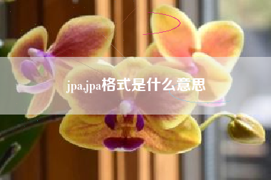 jpa,jpa格式是什么意思