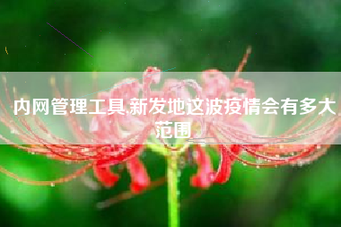 内网管理工具,新发地这波疫情会有多大范围