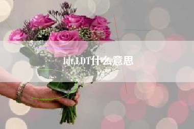 ldt,LDT什么意思