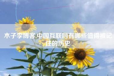 木子李博客,中国互联网有哪些值得被记住的历史