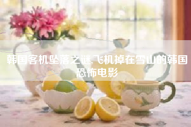 韩国客机坠落之谜,飞机掉在雪山的韩国恐怖电影