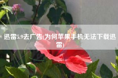 迅雷5.9去广告(为何苹果手机无法下载迅雷)