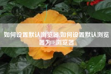 如何设置默认浏览器,如何设置默认浏览器为IE浏览器
