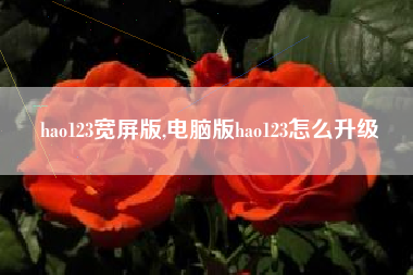 hao123宽屏版,电脑版hao123怎么升级