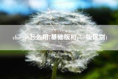 chatgpt怎么用(基础版和plus版区别)