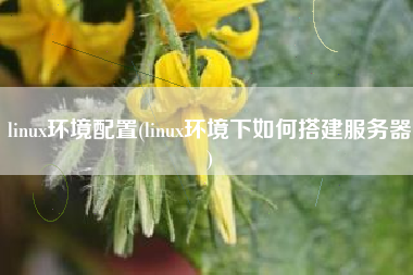 linux环境配置(linux环境下如何搭建服务器)