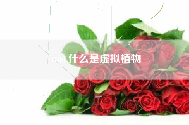 xuni,什么是虚拟植物