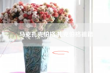 马克扎克伯格,扎克伯格祖籍