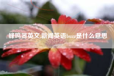 蜂鸣器英文,新闻英语buzz是什么意思