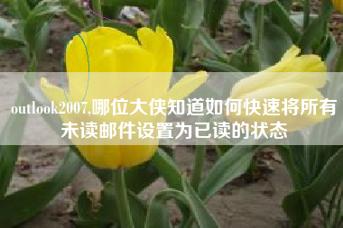 outlook2007,哪位大侠知道如何快速将所有未读邮件设置为已读的状态