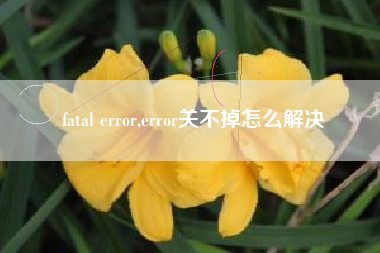 fatal error,error关不掉怎么解决