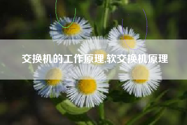 交换机的工作原理,软交换机原理