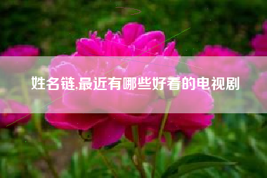 姓名链,最近有哪些好看的电视剧