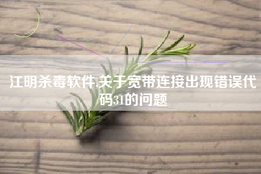 江明杀毒软件,关于宽带连接出现错误代码31的问题