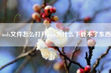 mds文件怎么打开,app为什么下载不了东西