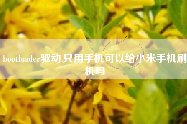 bootloader驱动,只用手机可以给小米手机刷机吗