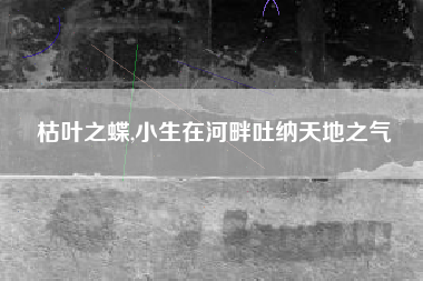 枯叶之蝶,小生在河畔吐纳天地之气
