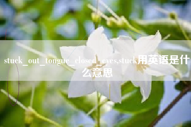 stuck_out_tongue_closed_eyes,stuck用英语是什么意思