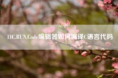 11C.RUN,Code编辑器如何编译C语言代码