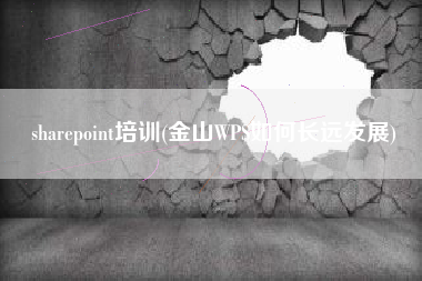 sharepoint培训(金山WPS如何长远发展)